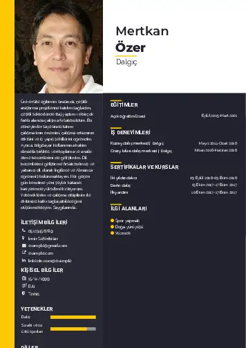 Dalgıç CV Örnekleri cv indir